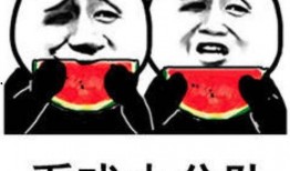 发一个吃瓜的表情回复什么